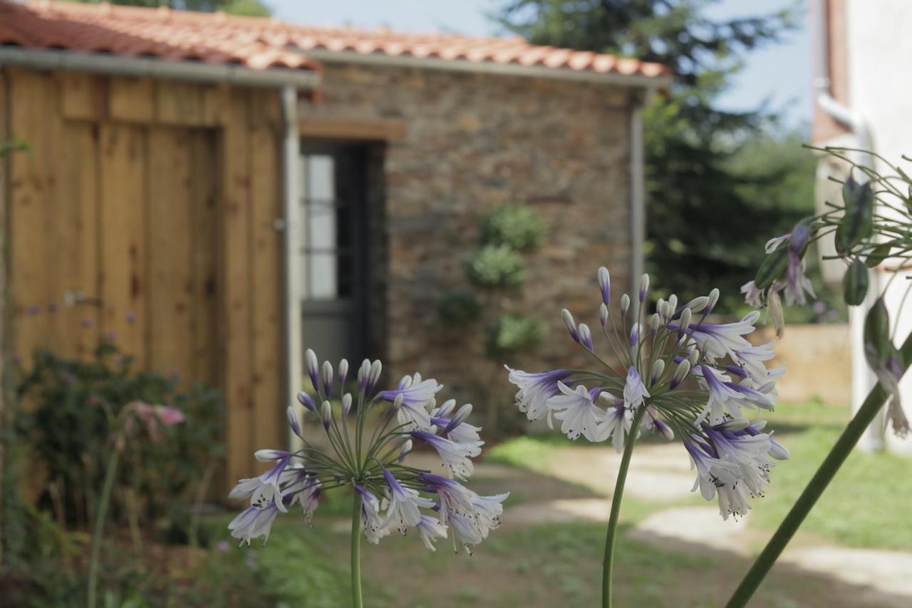 Apartmán La Demoiselle De Bohardy Montrevault Exteriér fotografie